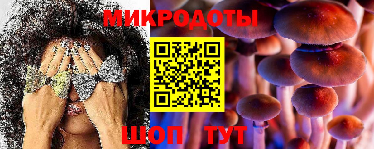 Оренбург  Псилоцибиновые грибы ЛСД  Вход с VPN 